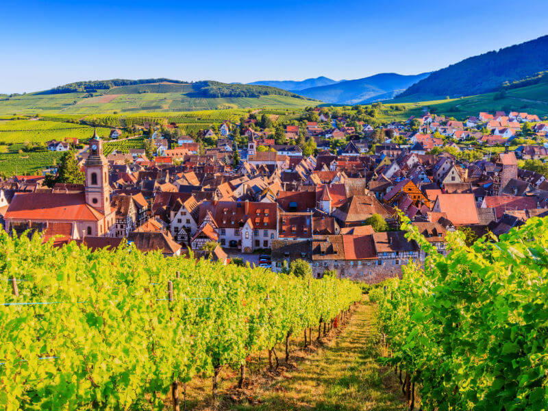 Vista do vilarejo de Riquewihr na Alsácia com pequenas casas e muito verde