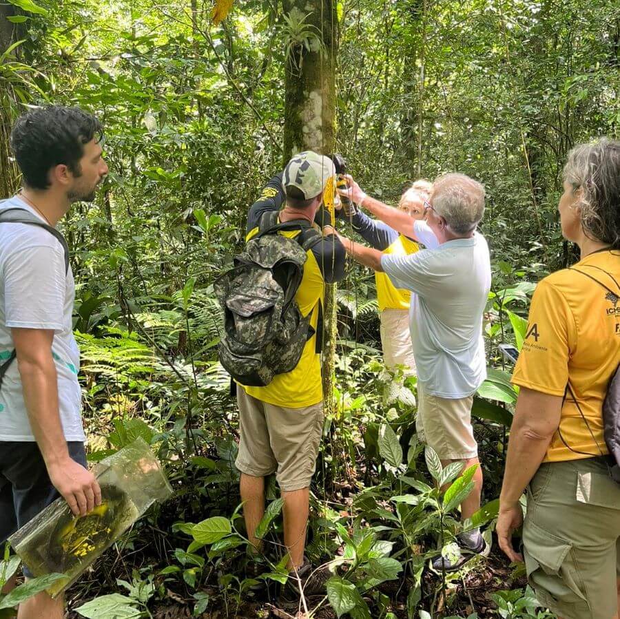 Trecho da trilha do Caminho do Peabiru na região de Joinville ganhou sinalização