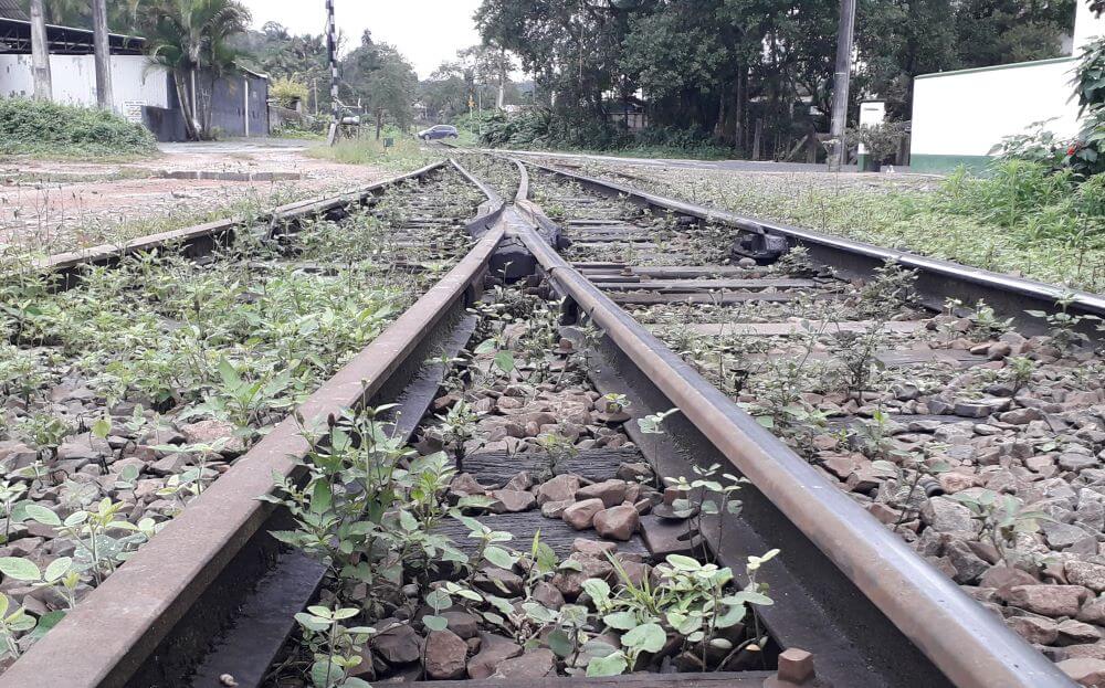 Projeto prevê ligação ferroviária entre duas regiões portuárias de Santa Catarina