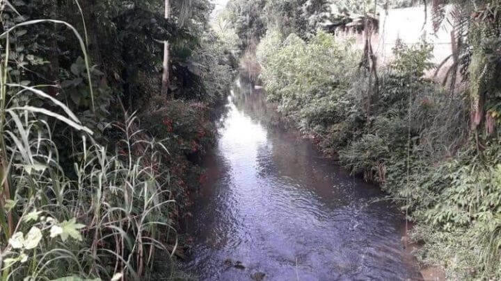 Lei de Joinville entrou em vigor em abril do ano passado