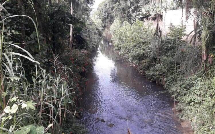 Lei de Joinville entrou em vigor em abril do ano passado