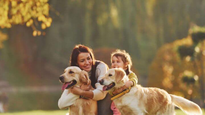 Mãe e filha pequena com dois golden retrievers em um parque