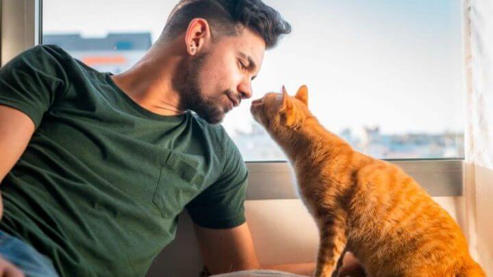 Homem olhando para o seu gato