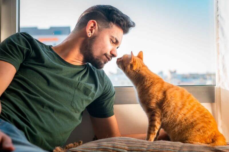 Homem olhando para o seu gato
