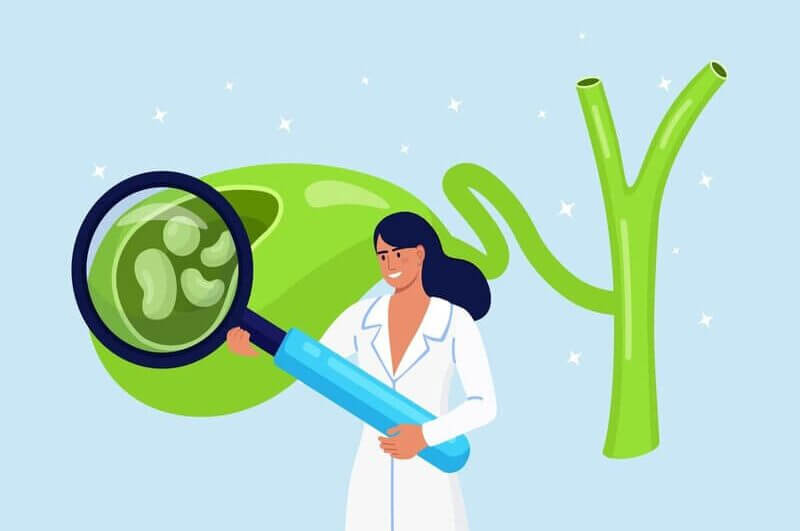 Ilustração médica examinando vesícula biliar