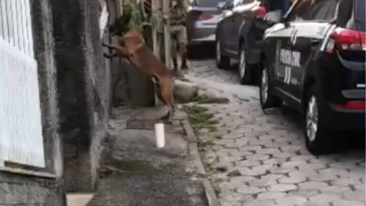 Mandados foram cumpridos nesta terça-feira (31) (Foto: Polícia Civil/Divulgação)