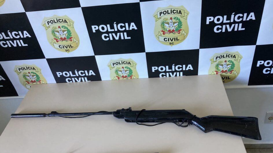 posse de arma de fogo