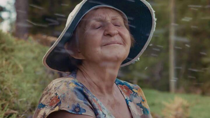 Luci Teresinha Choinacki