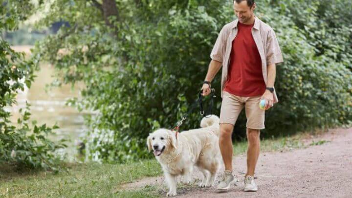 Homem passeando com cachorro