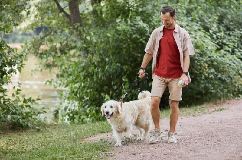 Homem passeando com cachorro