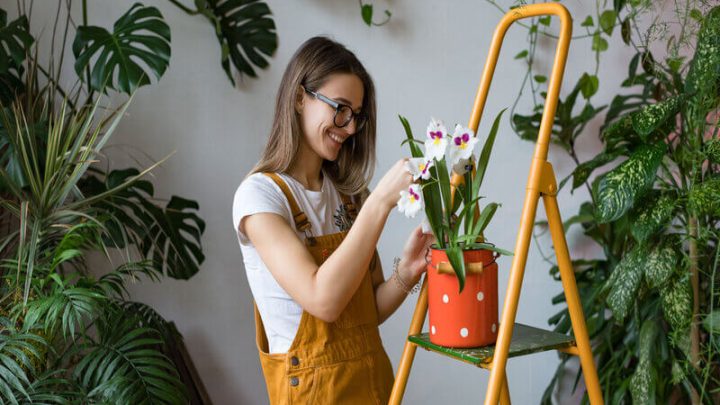Mulher sorridente cuidando de uma orquídea