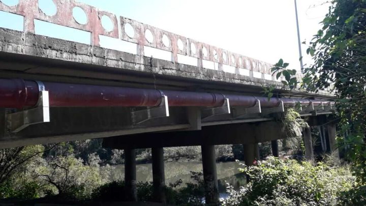 Capivara foi vista pela última vez nas proximidades da Ponte do Trabalhador