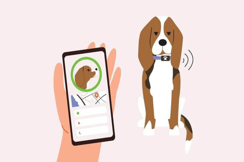 Ilustração de um cachorro com coleira inteligente e uma mão com celular rastreando