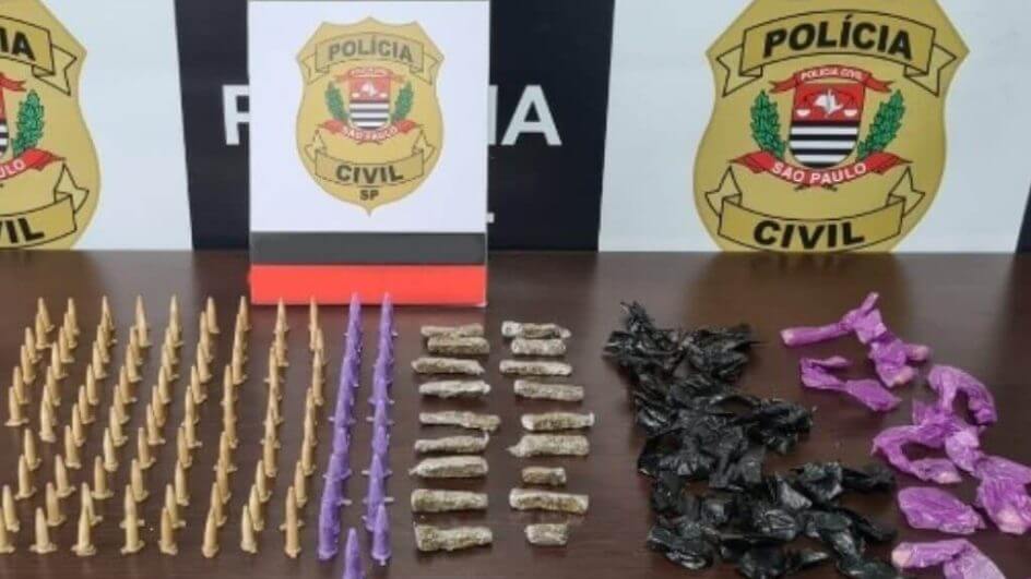 Droga K9 tem alertado órgãos de segurança no país (Foto: Polícia Civil de São Paulo/Divulgação)