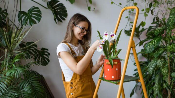 Mulher cuidando de orquídea