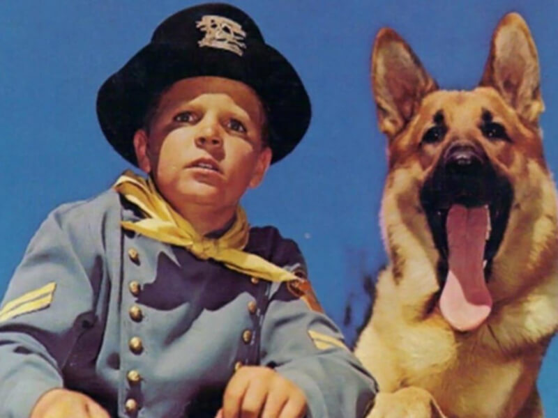 Garoto ao lado de cachorro Rin Tin Tin