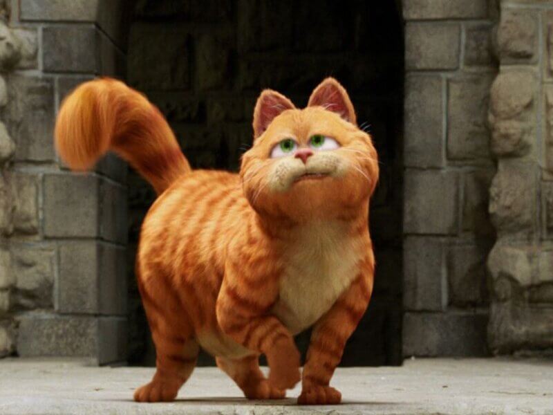Garfield andando na rua