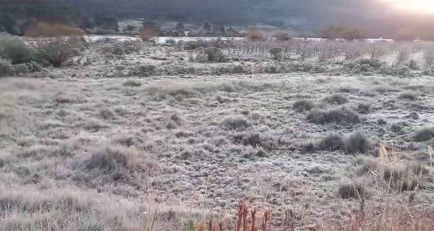 Geada pintou a paisagem na Serra de SC