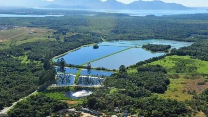 Lagoas deixaram de ter função no tratamento de esgoto na estação do Jarivatuba