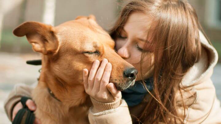 Menina beijando e abraçando cachorro caramelo