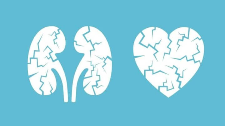 Ilustração de um rim e um coração em um fundo azul