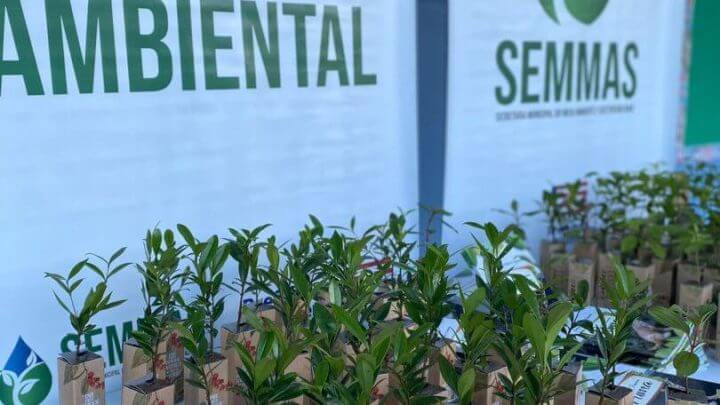 De acordo com o Semmas, as fontes de água também são fundamentais para a manutenção da fauna e da flora da região