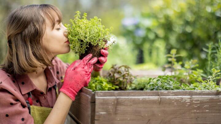 Jovem plantando horta em casa