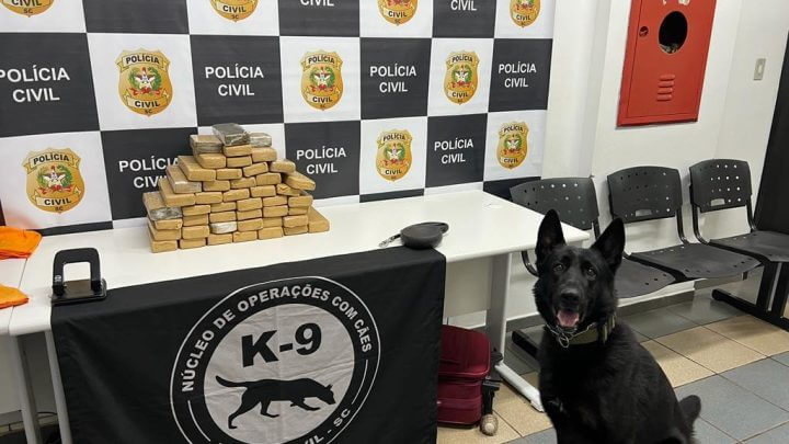 Uma pessoa foi presa durante a ação
