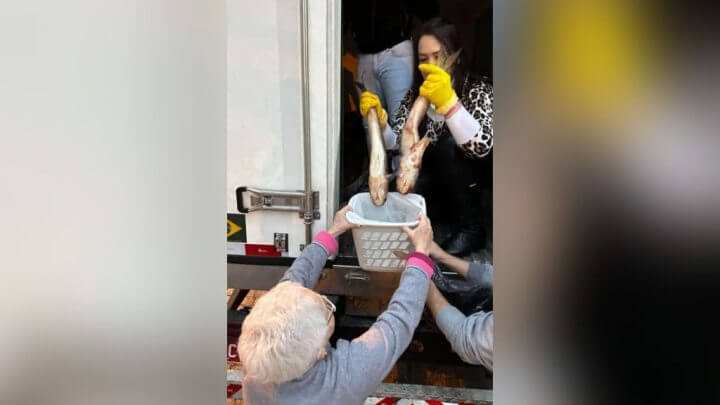 Entrega ocorreu nesta semana