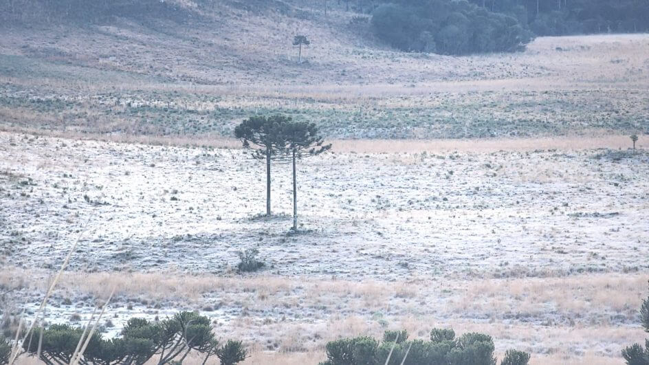 Geada deixou os campos brancos na Serra catarinense