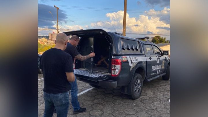 Caso ocorreu em junho deste ano