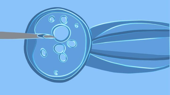 Ilustração de uma inseminação de óvulos
